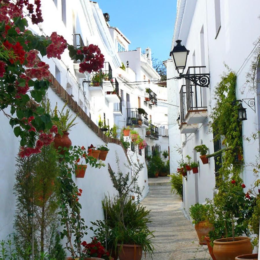 Nerja Paradise Rentals - Villa Cataleya Frigiliana Eksteriør billede